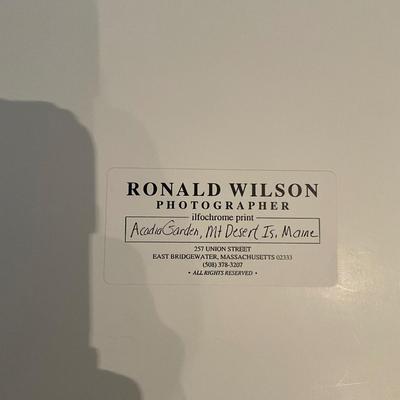 U095 Original Ronald Wilson Signed and Numbered Cibachrome Photography Print