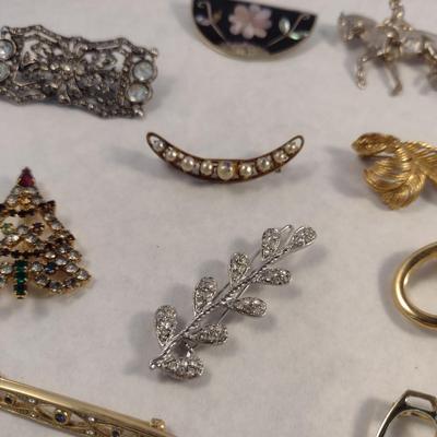 Collection of Brooches and Pins (#26)