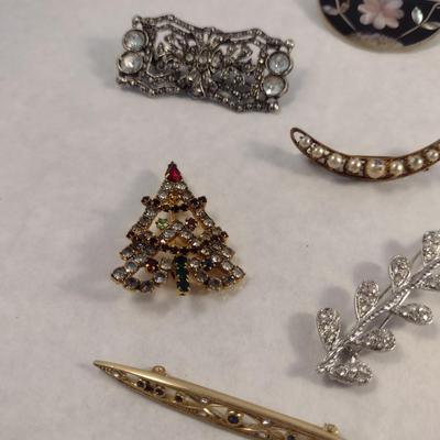 Collection of Brooches and Pins (#26)