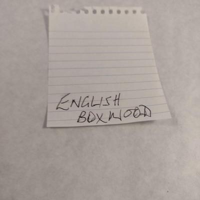 Hand Crafted Turned Wood English Boxwood Goblet