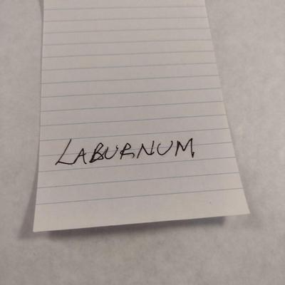 Hand Crafted Turned Wood English Laburnum Dry Flower Vase