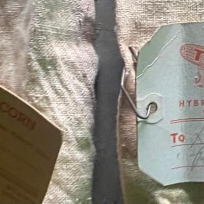 Vintage Cloth Thomson Seed Bages