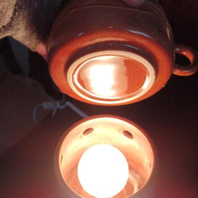 Wax warmer with light