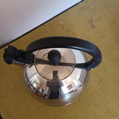Stainless steel tea kettle