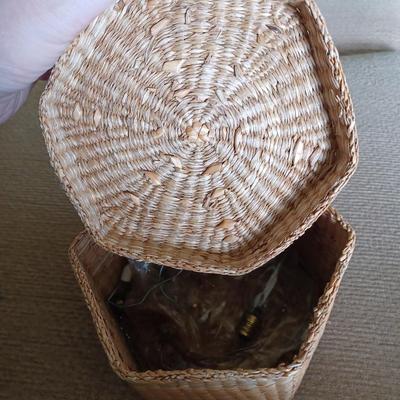 seashell coaster holder