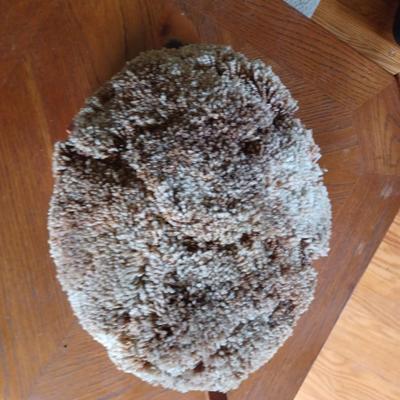turtle foot stool