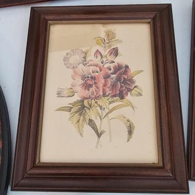 Collection of Floral Prints (UC-JS)