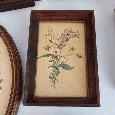 Collection of Floral Prints (UC-JS)