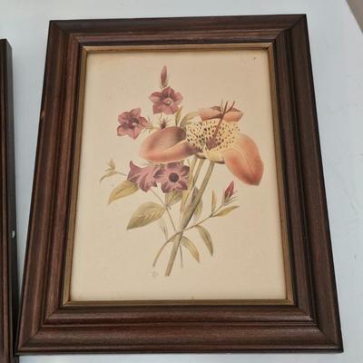 Collection of Floral Prints (UC-JS)