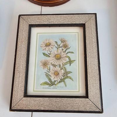 Collection of Floral Prints (UC-JS)