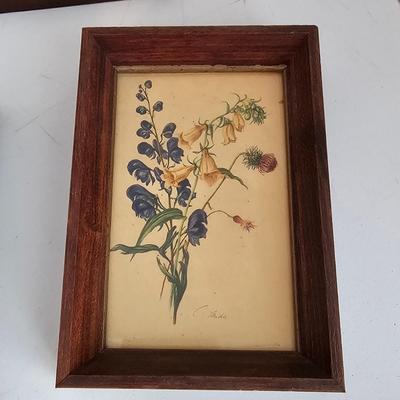 Collection of Floral Prints (UC-JS)