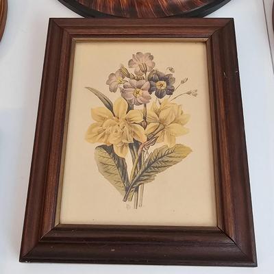 Collection of Floral Prints (UC-JS)