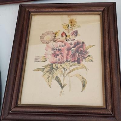 Collection of Floral Prints (UC-JS)