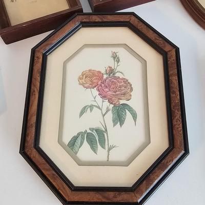 Collection of Floral Prints (UC-JS)