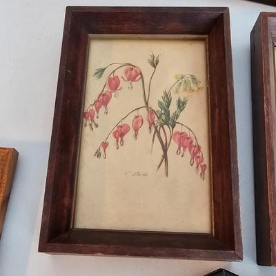 Collection of Floral Prints (UC-JS)