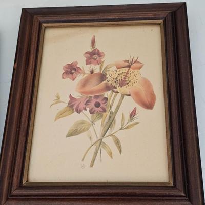 Collection of Floral Prints (UC-JS)