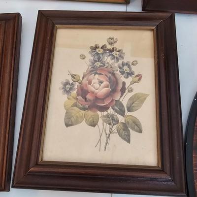 Collection of Floral Prints (UC-JS)