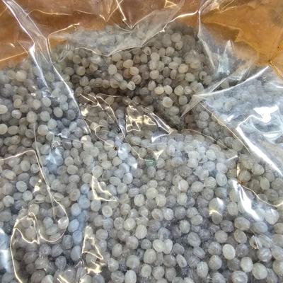 American Handicraft Rock Tumbler & Accessories (S-JS)