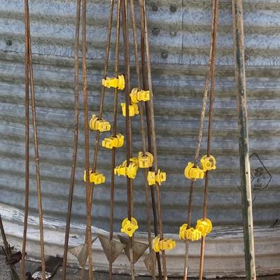 Hot Fence Posts