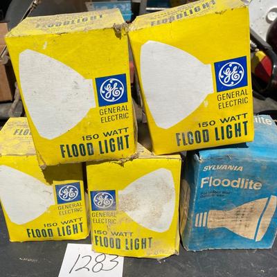 Flood Bulbs