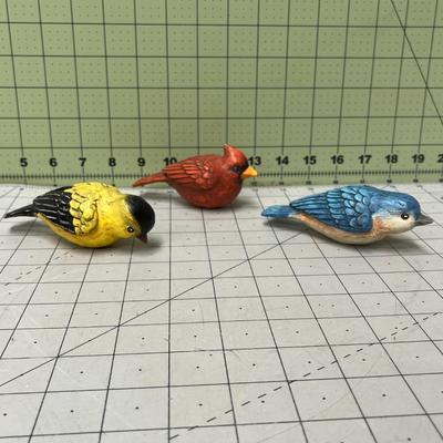 3 Bird Magnets