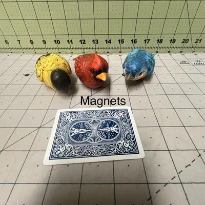 3 Bird Magnets
