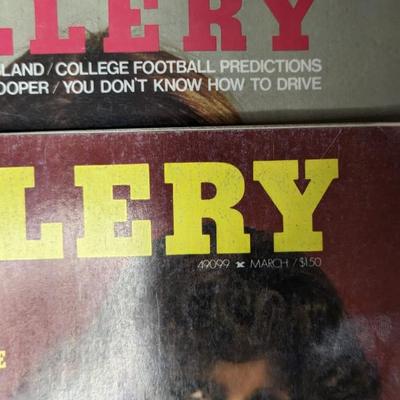 Vintage Cheri, Oui, Adam, and Club Men's Magazines