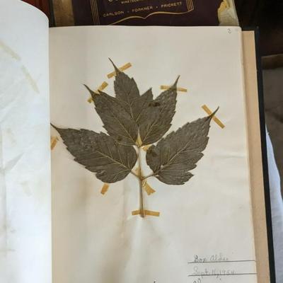 Boys Life Magazines and Vintage Kids School Workbooks