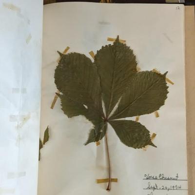 Boys Life Magazines and Vintage Kids School Workbooks