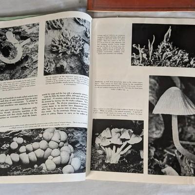 Boys Life Magazines and Vintage Kids School Workbooks