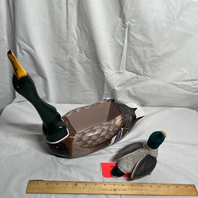 Wood duck & Beanie Baby