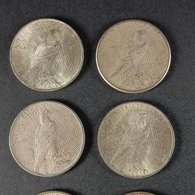 LOT 14: Set of (7) 1922-1923 Silver Peace Dollar Coins