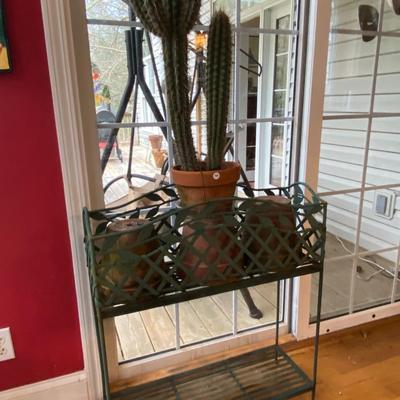 green Wrought Iron Plant Shelf, Cactus, and Planters