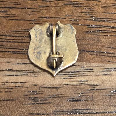 Gold Plated & Enamel Vintage Fraternity Pin