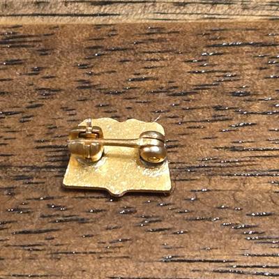 Vintage Gold Plated and Enamel Fraternity Pin
