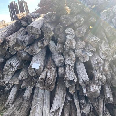 Old Hedge Posts