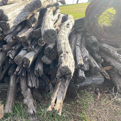 Old Hedge Posts