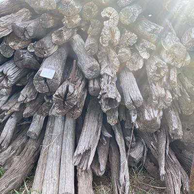 Old Hedge Posts