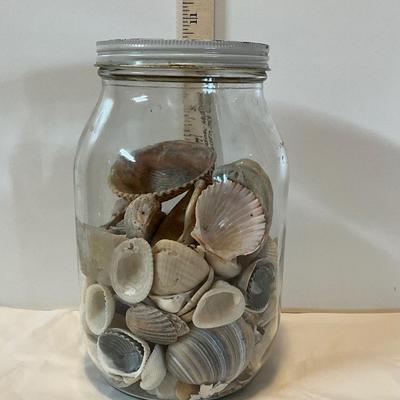 Large Jar of seashells