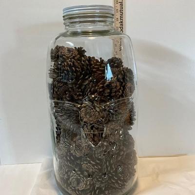 Large Eagle Embedded glass jar with pinecones