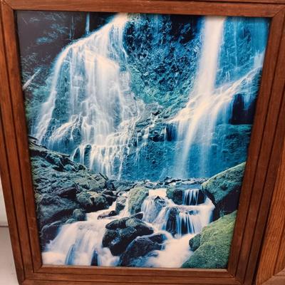 2 WOOD FRAMED NATURE PHOTOS