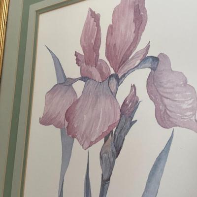 Frames Iris Watercolor Print, Signed Debbie Copeland and Numbered