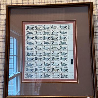 Framed Collection of USPS Wood Duck Stamps