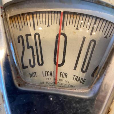 Vintage BORG Scale