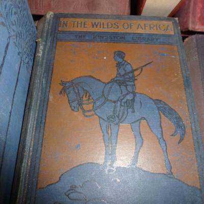 Collection of Vintage Books- 19 Total
