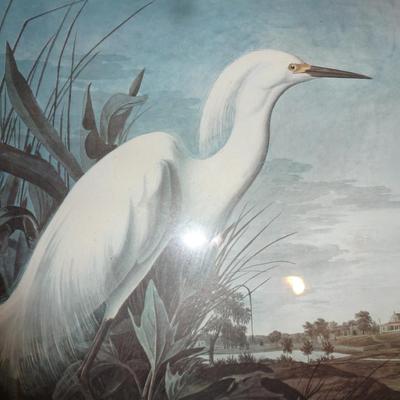 Framed Art Print- Heron Design- Approx 20" x 24"