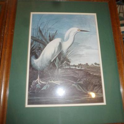 Framed Art Print- Heron Design- Approx 20" x 24"