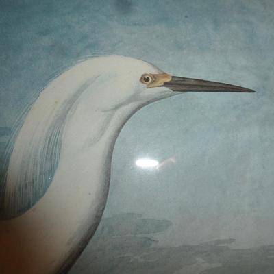 Framed Art Print- Heron Design- Approx 20" x 24"
