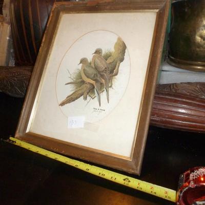 Framed John W. Taylor Bird Print- Approx 12 1/2" x 16"
