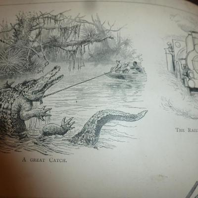 Collection of Vintage Children's Books